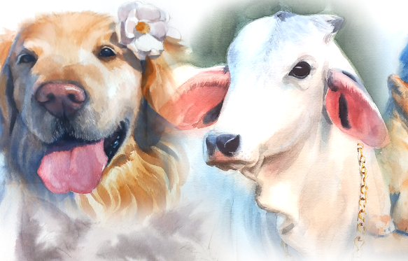 Pet Portraits in Watercolour preview