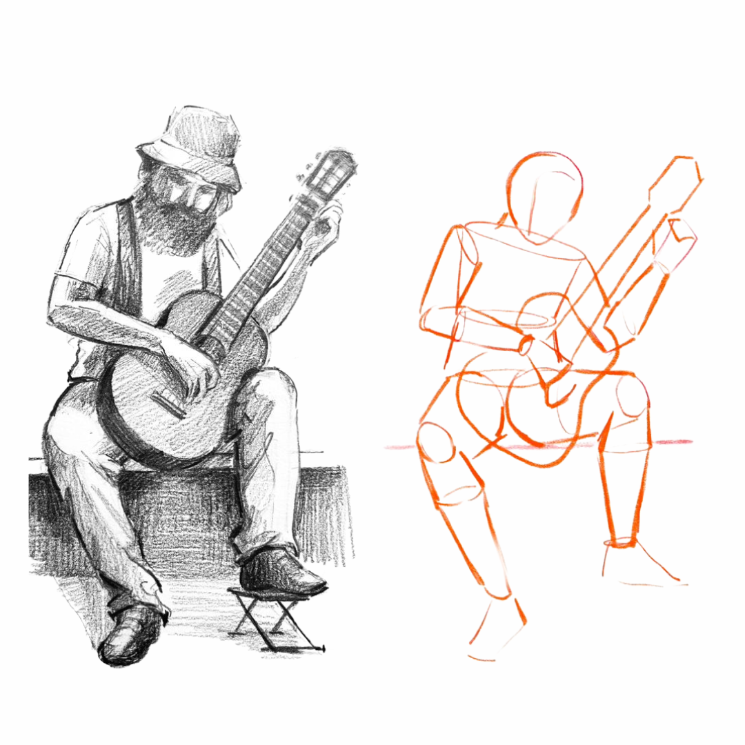 Anatomy drawing preview