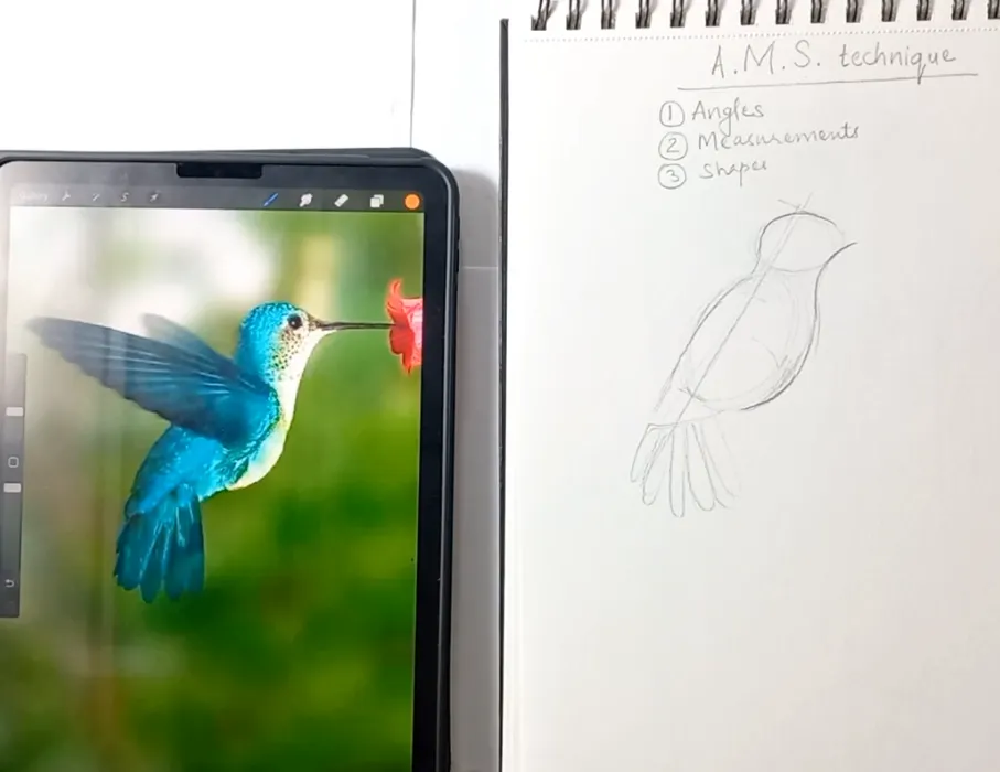 Draw Anything course cover detail