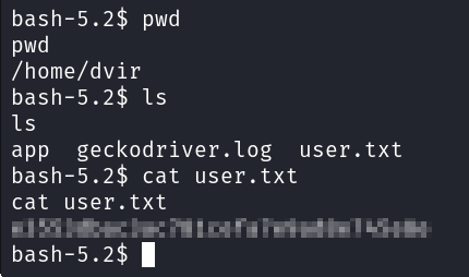 البحث في الملفات للعثور على الملف user.txt في مجلد home/dvir/