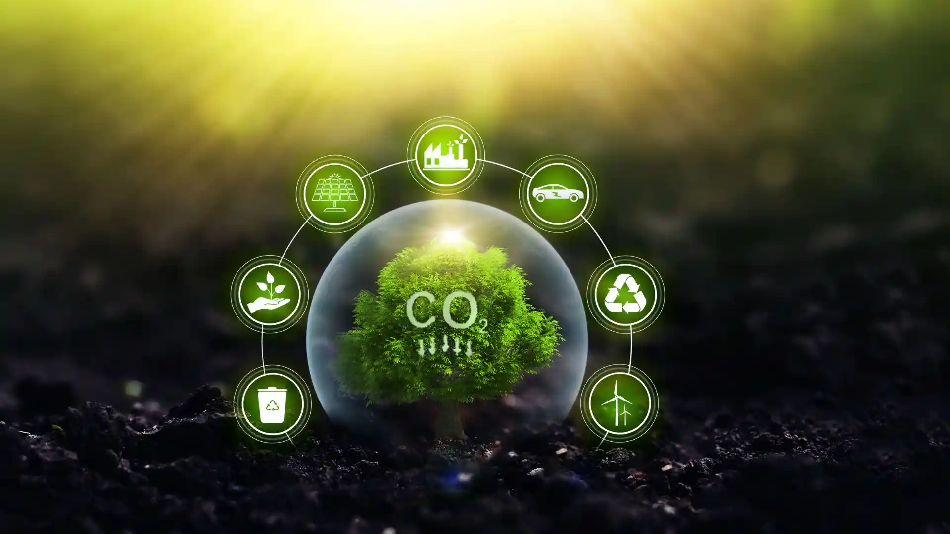 Carbon trading course thumbnail